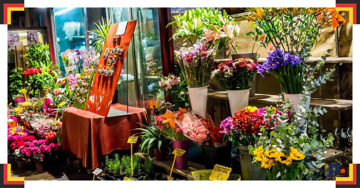 Sklepy ogrodnicze w Niemczech