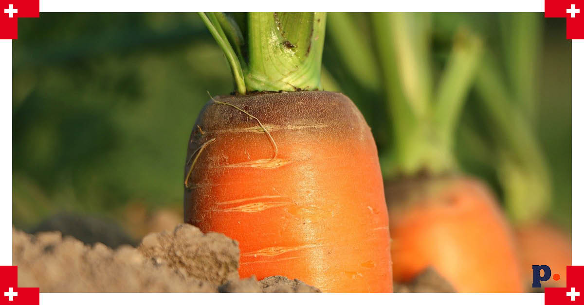 brak warzyw w Szwajcarii