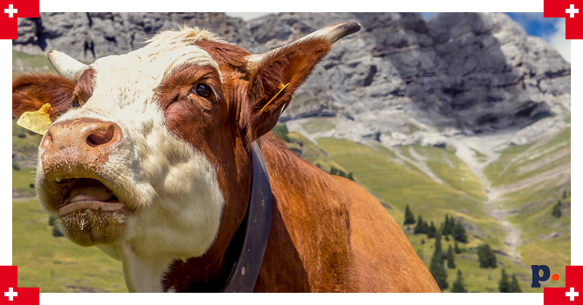 rolnictwo Szwajcaria