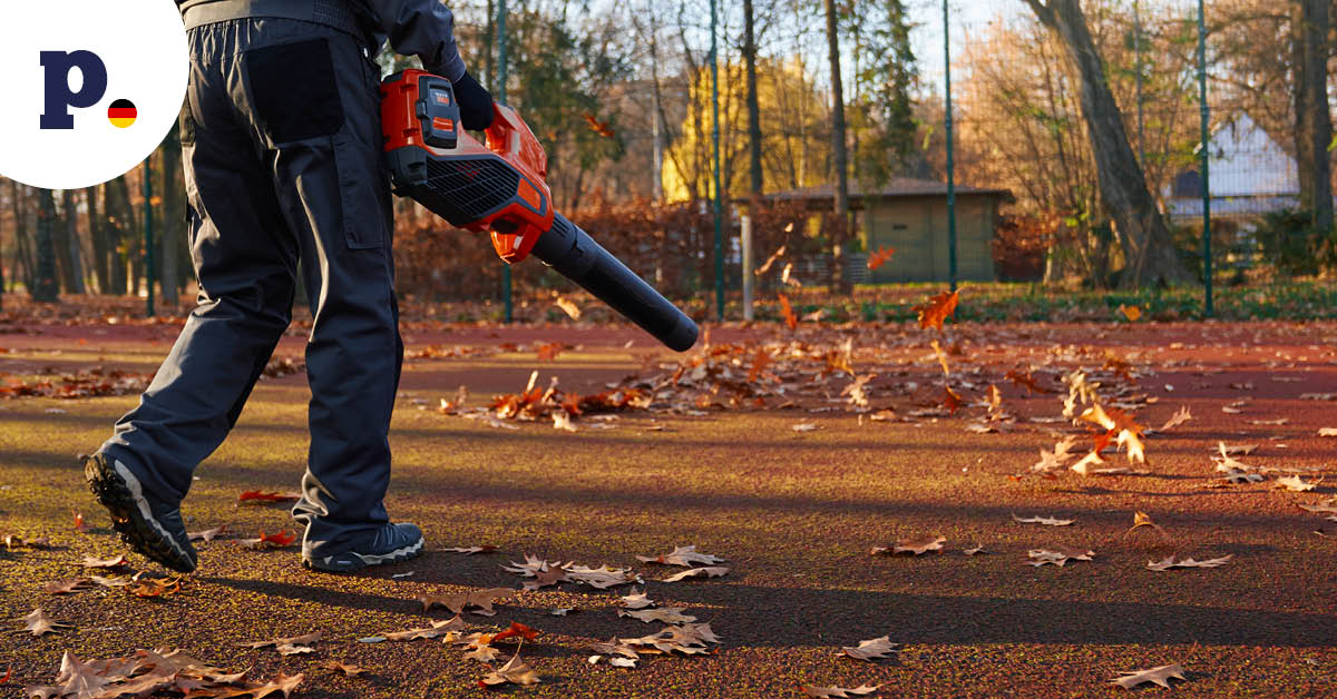 osoba sprzątająca jesienne liście