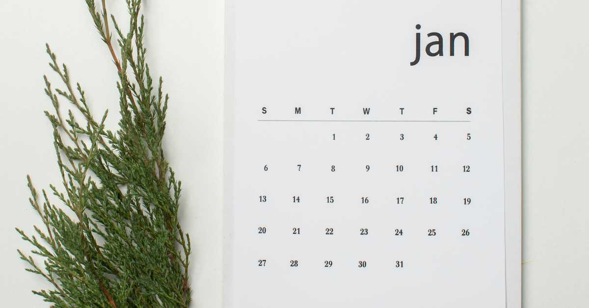 kalendarz styczeń, zielona gałązka i szyszka